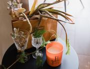 LOFT LOVE SPA privé , mur végétal, feu de bois, vélos, BAIE DE SOMME - 9