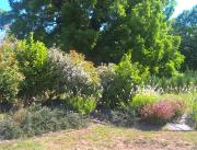 Villa avec Spa Privatif, proche Sarlat - 23