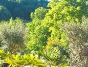 Villa avec Spa Privatif, proche Sarlat - 25