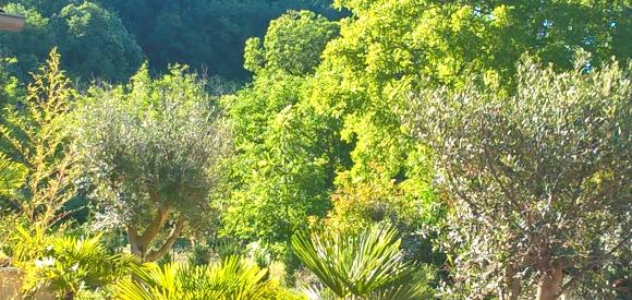Villa avec Spa Privatif, proche Sarlat
