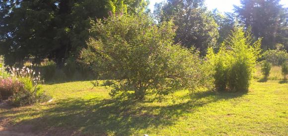 Villa avec Spa Privatif, proche Sarlat
