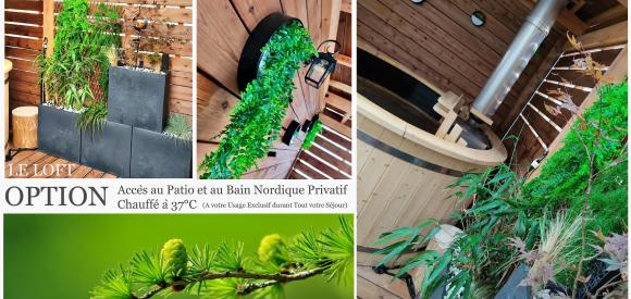 LE LOFT suite avec Sauna et B. jacuzzi, Hautes Vosges