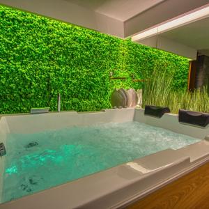 Magnifique cocon pour amoureux avec spa privatif, Annecy