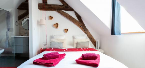 Appartement cosy et sensuel, avec baignoire balnéothérapie, centre historique de Dijon