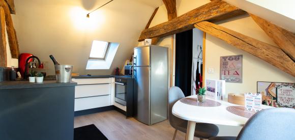 Appartement cosy et sensuel, avec baignoire balnéothérapie, centre historique de Dijon