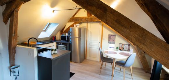 Appartement sensuel et coquin avec balnéothérapie, centre historique de Dijon