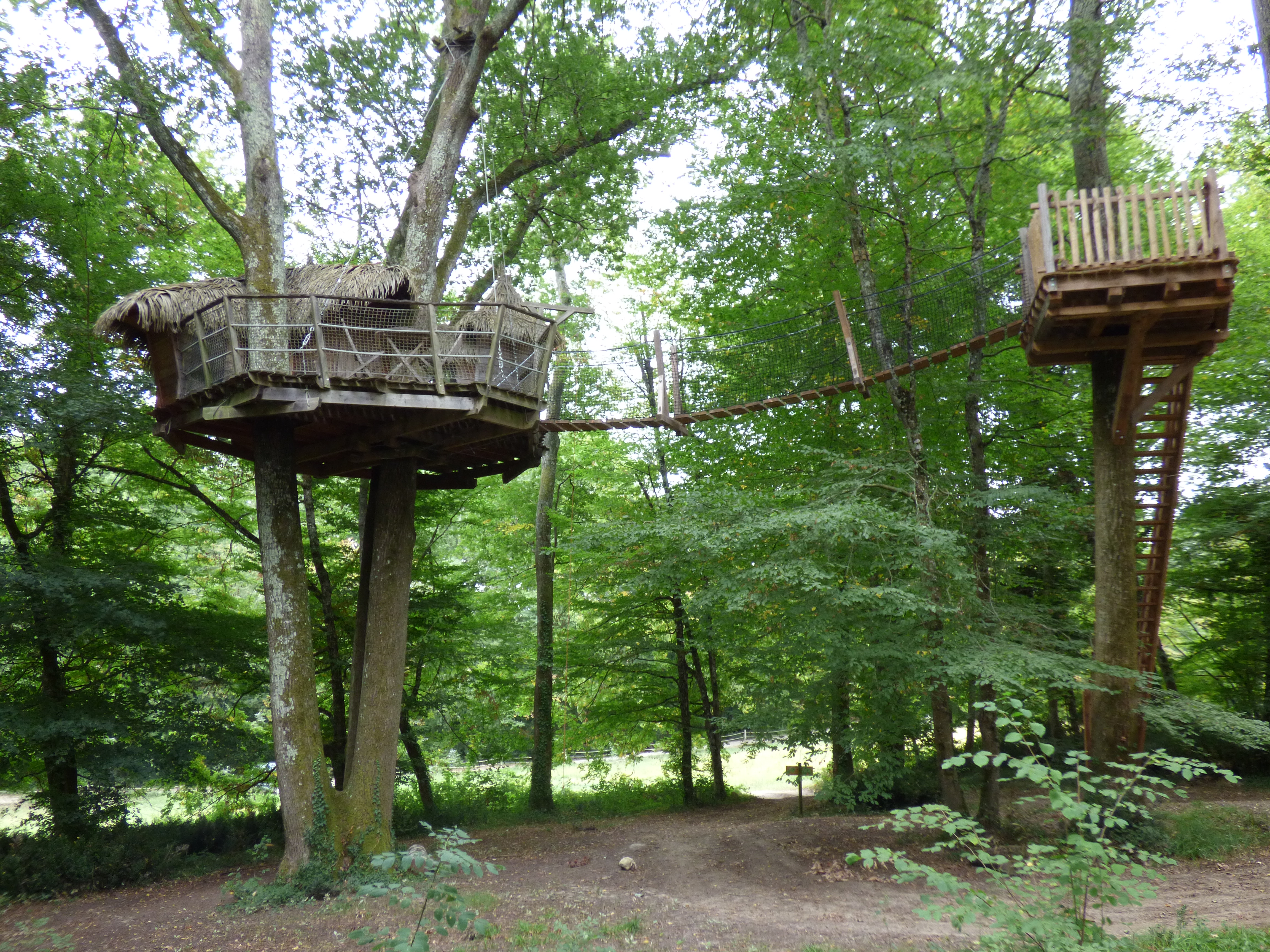 Cabane Dans Les Arbres Avec Jacuzzi Charente maritime Cabane dans un arbre perchée à 9 mètres, Pompignac - Introuvable