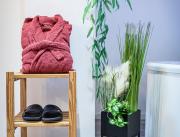 Suite avec SPA Privatif et sauna, Seine et Marne - 33