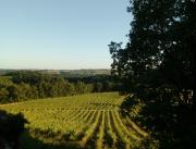 Dormir dans un lodge au milieu des vignes, Tarn - 6