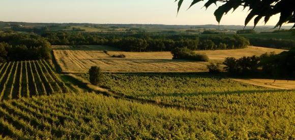 Dormir dans un lodge au milieu des vignes, Tarn