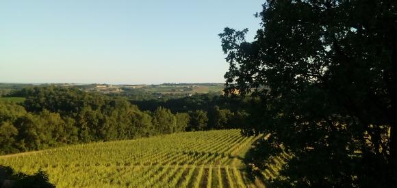 Dormir dans un lodge au milieu des vignes, Tarn