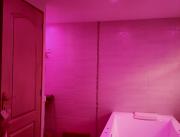 Magnifique chambre avec spa et sauna infra-rouge - ambiance zen, le Touquet - 5