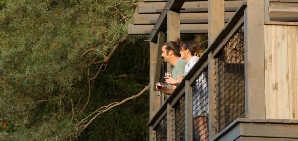 Cabane perchée romantique avec spa privatif, Aquitaine