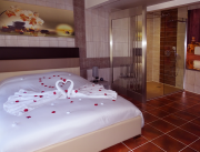 Gîte de charme en toute intimité avec spa, sauna, piscine à volonté, Var - 10