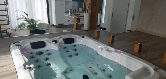 Loft avec SPA privatif , Futuroscope