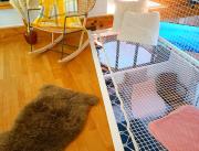 Appartement Cosy Balnéo, Hyper centre, Caen - 15