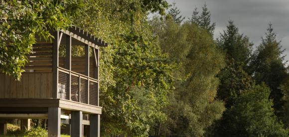 Cabane perchée avec jacuzzi privatif, vue sur la nature, Brive