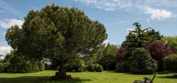 Suite Exception avec lit rond, jacuzzi privatif et jardin secret - Vendée, près de La Rochelle