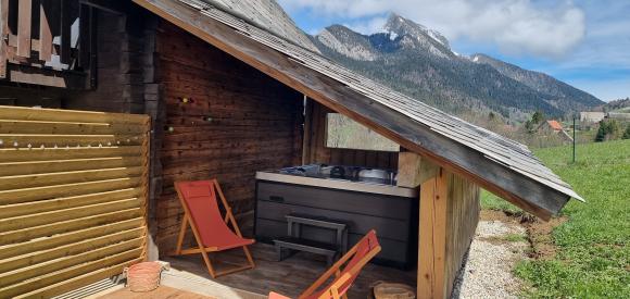 Manifique maison  avec JACUZZI, Isère