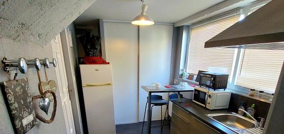 Appartement aux plaisirs extrêmes avec Balnéothérapie, Roanne