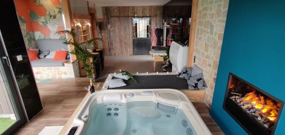 Gite de luxe avec spa, sauna et salle de cinéma, Cantal