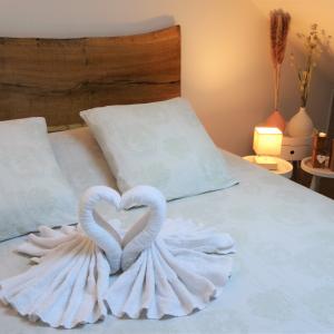 Gite dans le vignoble avec spa et massages , 20 min de Reims