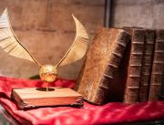 Appartement Harry Potter une nouvelle expérience à Bordeaux - 10