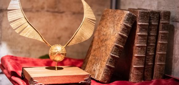 Appartement Harry Potter une nouvelle expérience à Bordeaux