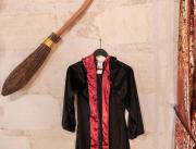 Appartement Harry Potter une nouvelle expérience à Bordeaux - 6