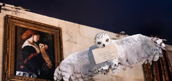 Appartement Harry Potter une nouvelle expérience à Bordeaux