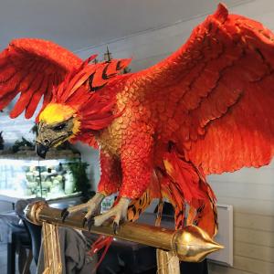 Appartement Harry Potter une nouvelle expérience à Bordeaux