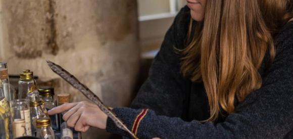 Appartement Harry Potter une nouvelle expérience à Bordeaux