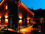 Chalet avec spa, sauna, hammam dans les Vosges - 1