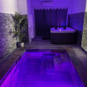 Suite BALI avec piscine intérieure chauffée, jacuzzi, fauteuil massant, Proche Nimes