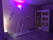 Suite esprit PRINCESSE, avec Jacuzzi et sauna privatif, Entre Nimes, Arles, et Avignon - 4