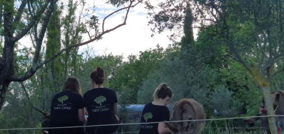 Roulotte Nuit d'Amour avec Spa privatif, Ardèche