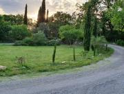Suite Nid d'Amour et spa en Ardèche - 10