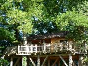 Cabane dans les arbres et son spa privatif, Chalais - 2