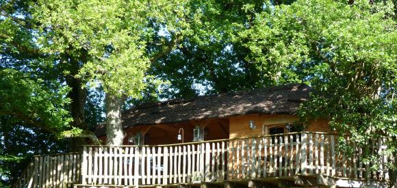 Cabane dans les arbres et son spa privatif, Chalais