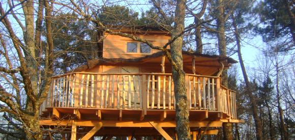 Cabane dans les arbres familiale, Chalais