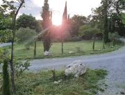 Cabane avec spa privatif Gorges de l'Ardèche - 8