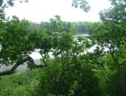 Cabane dans les arbres, vue Lac, Chalais - 3