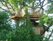 Cabane dans les arbres, vue Lac, Chalais - 1