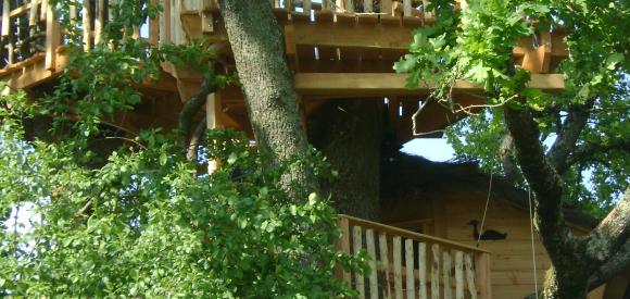 Cabane dans les arbres, vue Lac, Chalais