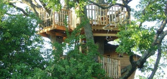 Cabane dans les arbres, vue Lac, Chalais