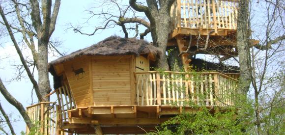 Cabane dans les arbres, terrasse en duplex, Chalais