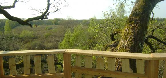 Cabane dans les arbres, terrasse en duplex, Chalais