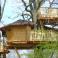 Cabane dans les arbres, terrasse en duplex, Chalais