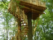 Cabane dans les arbres, vue bois et plaine, Chalais - 2