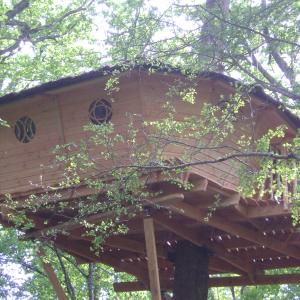 Cabane dans les arbres, vue bois et plaine, Chalais